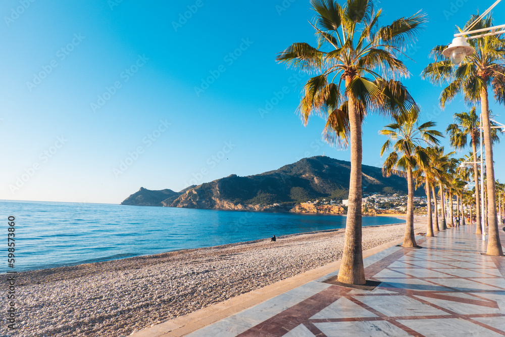 strand van Albir met palmboom